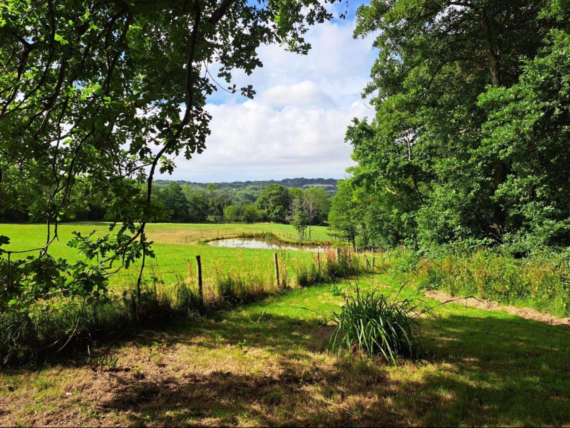 Charming Tranquil Shepherds Hut With Lakeside Balcony 'Roach' Uckfield Exterior foto